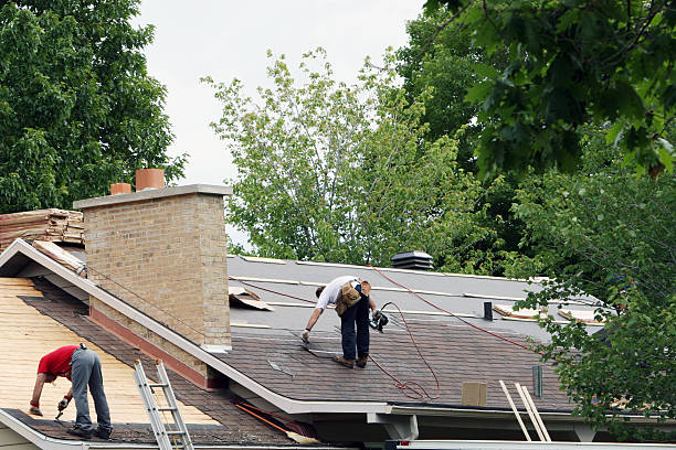 Best Roof Gutter Cleaning  in Waterville, ME